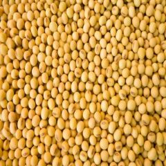 Soybeans