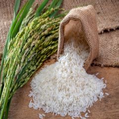Rough Rice
