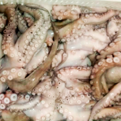 Frozen Fish derivative