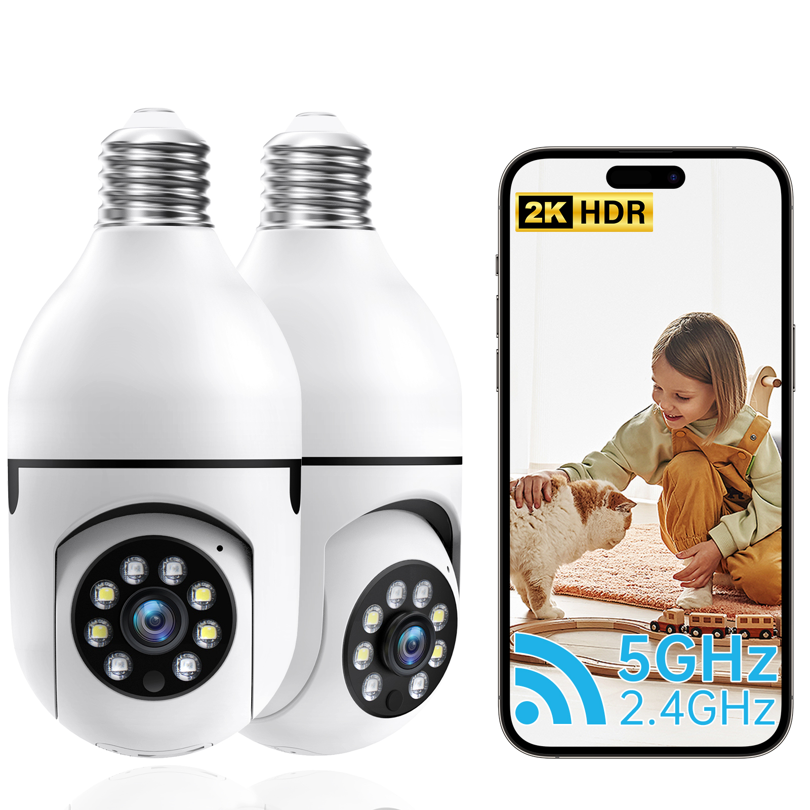 Surveillance Products