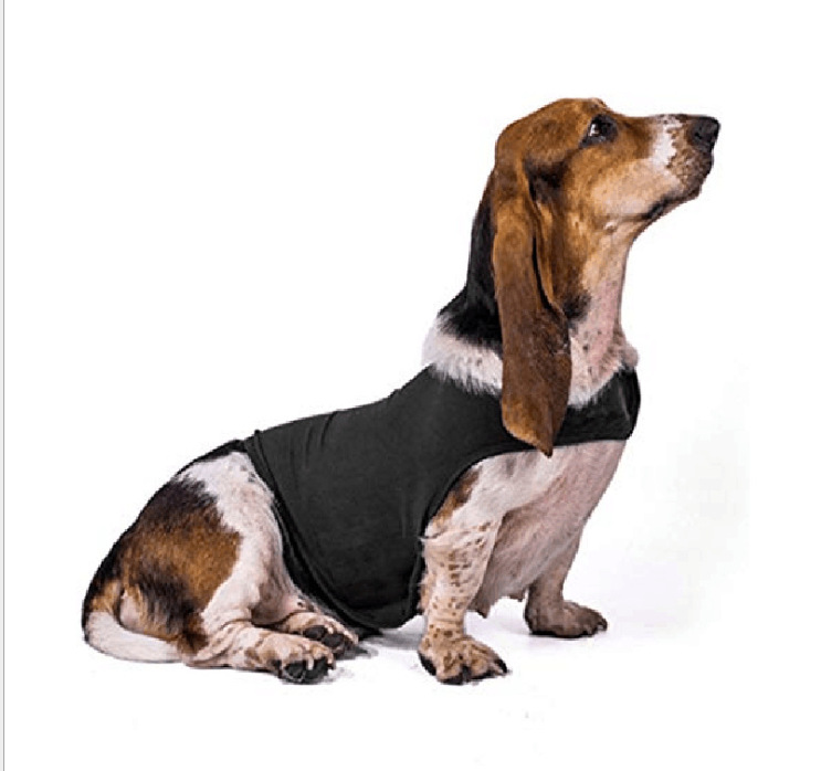 Pet Coats & Jackets