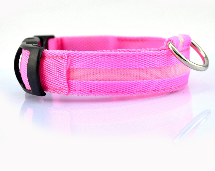 Pet Collars